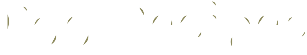 Egg Recipes